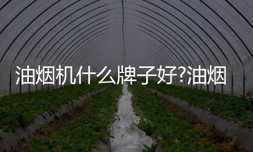 中式烹饪以煎炒为主