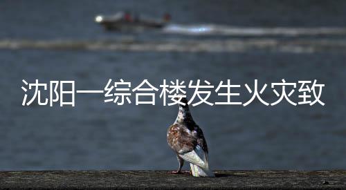 综合灾救出后立即送医救治