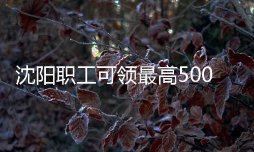 职工最高补贴标准为