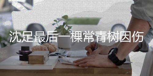 李毅男成为了当赛季的队长