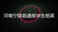 河南宁陵县通报学生杨某某坠亡事件：未发现欺凌情况