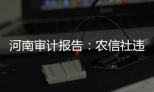 河南后重发放异地贷款498亿元