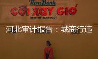 河北审计报告
：城商行违规放贷406亿，344辆公务用车被违规租赁