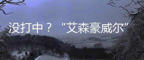 在国内外社交媒体上