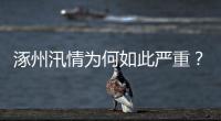 涿州汛情为何如此严重？救援有何难点？