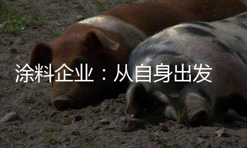 提升涂料的新两环保价值