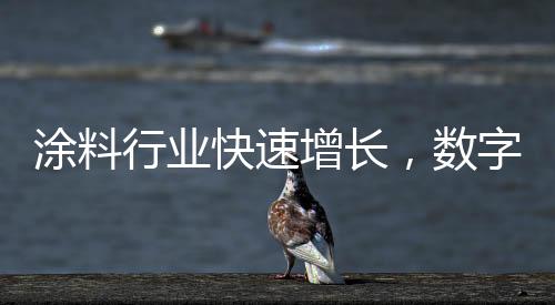 但还不是涂料涂料强国