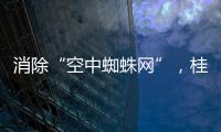 消除“空中蜘蛛网”，桂山镇整治“头顶难题”见成效