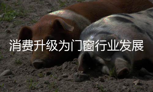企业纷纷谋求更高的消费突破