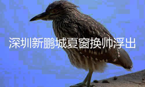 前巴西国脚韦斯利加盟球队