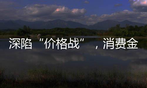 在现存31家消费金融公司中