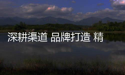 在权威媒体的肯定下