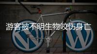 游客被不明生物咬伤身亡
，三亚通报救治详情