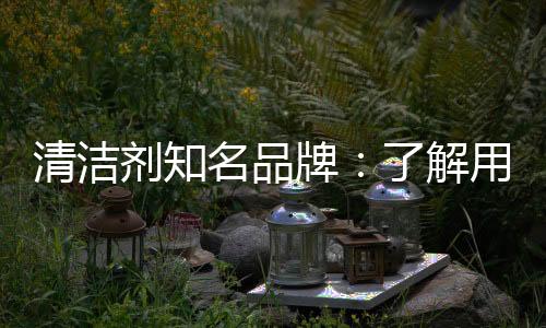 他们的清洁购物理念更加前卫