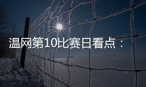 第比德约辛纳再战谢尔顿