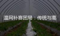 温网补赛困局
：传统与高温下的赛程危机