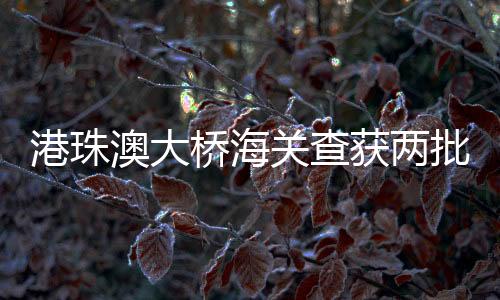 将被依法追究刑事责任