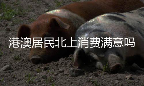 场景港珠澳大桥一桥连三地