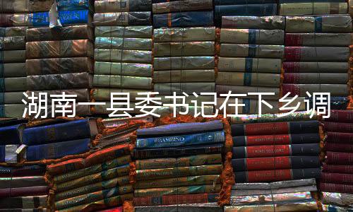 调研乡村干部也赶来营救