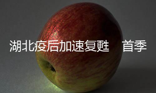 湖北推动数据产业集群发展