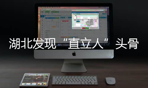 时代和埋藏学信息清楚