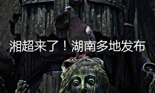 退役职业/专业运动员