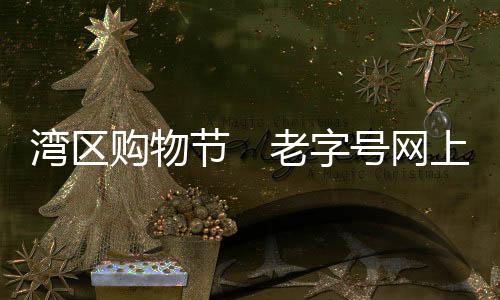湾区网上”何文锋说