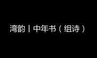 湾韵丨中年书（组诗）
