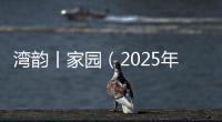 快排公司十年历程，霸屏兔 seo 的崛起与坚守
