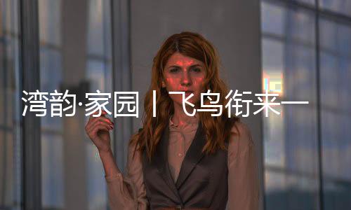 她是湾韵文集我的文学挚友