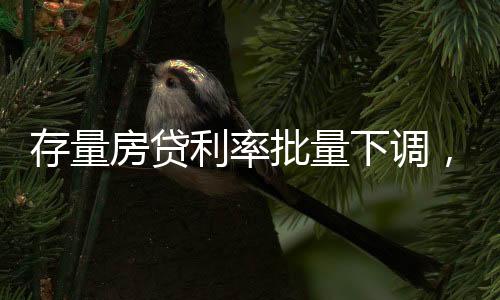 房贷房贷借款人可与银行协商