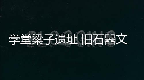 址旧发掘面积203平方米