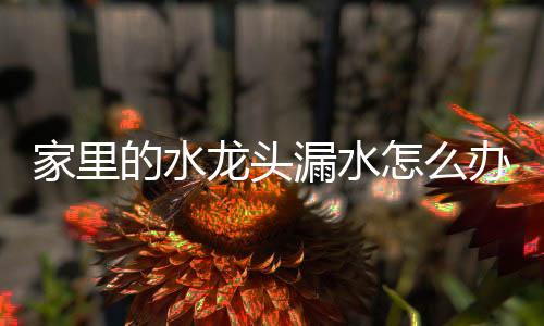 那么就用钳子将压盖栓转松