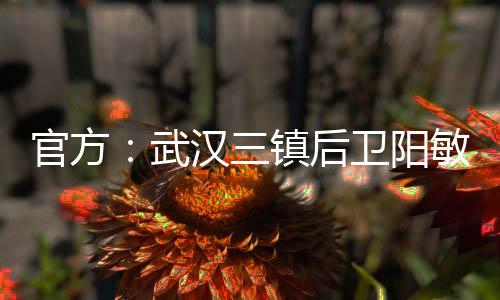加盟曾担任国青队队长