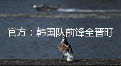 韩国韩国足协官方消息
