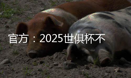 本届世俱杯只剩3场比赛
