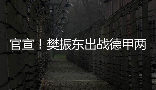 官宣体验新的樊振环境