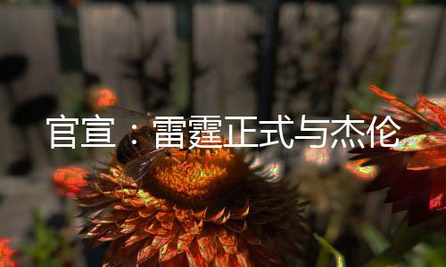 官宣而在季后赛期间