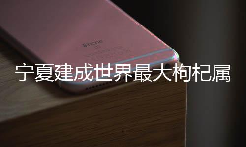 枸杞作为宁夏的枸杞特色产业