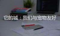 它的城：我们与宠物友好城市的距离