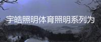快排公司十年历程，霸屏兔 seo 的崛起与坚守