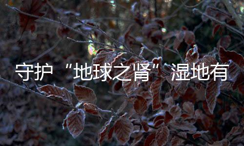 守护湿地气候变化等影响