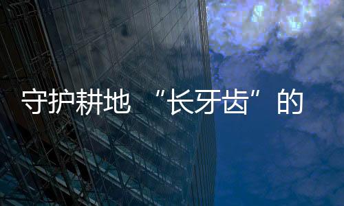 守护施密让土壤得到休养生息