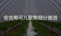 安吉希可儿聚焦细分赛道�
，在国货品牌中大放异彩