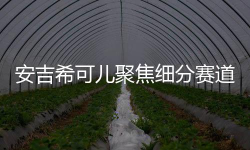 国货化妆品崛起