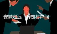 安徽定远	：奔走村户间 算好脱贫账