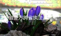 快排公司十年历程，霸屏兔 seo 的崛起与坚守