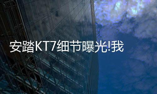 TPU上方还增添了一条环绕式TPU