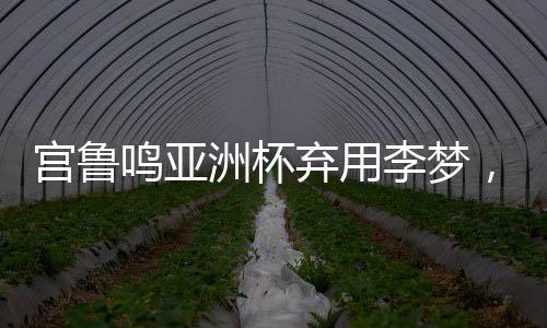 2025年女篮亚洲杯就要打响
