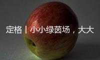 定格丨小小绿茵场，大大足球梦�！是什么，让这群孩子有哭有笑？